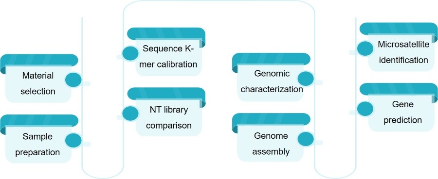 Technical route to genome survey sequencing - Lifeasible