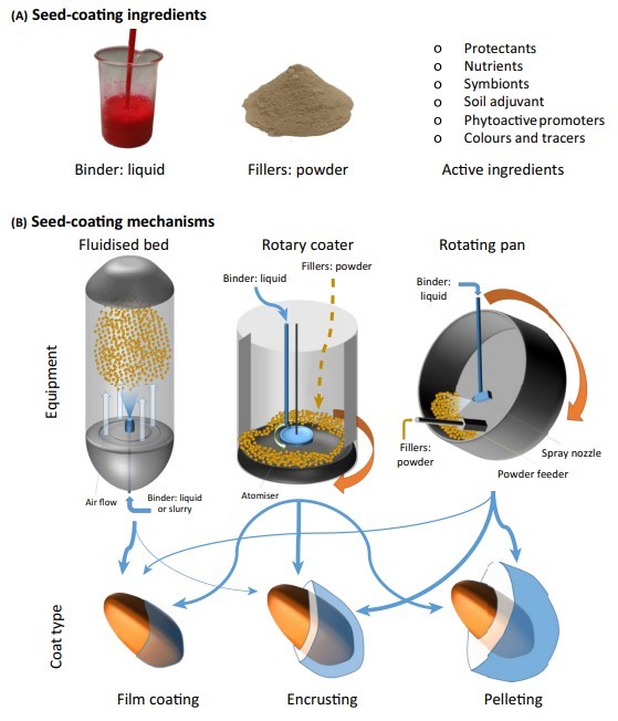 (A) Seed-coating ingredients. (B) Seed-coating mechanism.